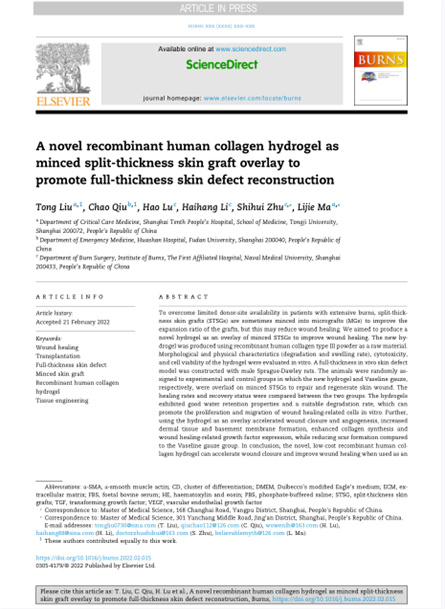 2022 动物研究，重组胶原用于微粒皮移植覆盖